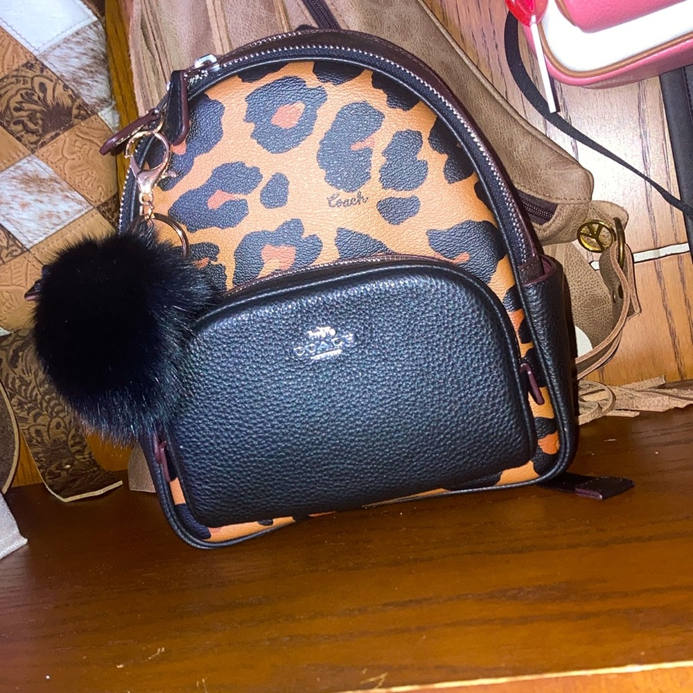 Coach Mini Court Backpack in Signature Canvas with leopard print.